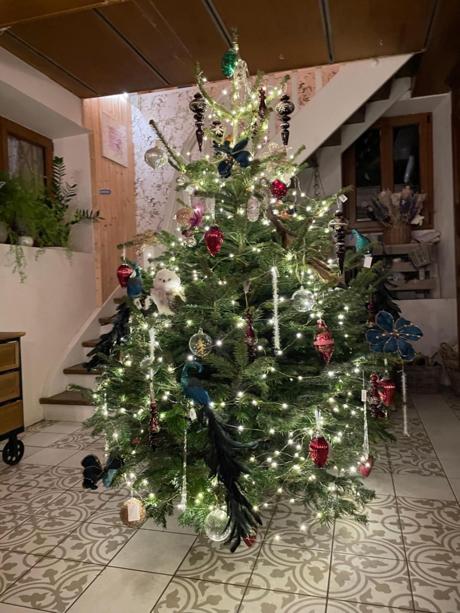 Tiers Lieu 59 Grand Rue Διαμέρισμα Bouxwiller  Εξωτερικό φωτογραφία